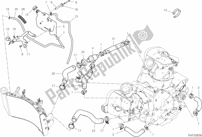 All parts for the Cooling Circuit of the Ducati Hypermotard 950 SP USA 2019